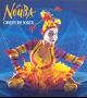 Cirque du Soleil &quot;La Nouba&quot;